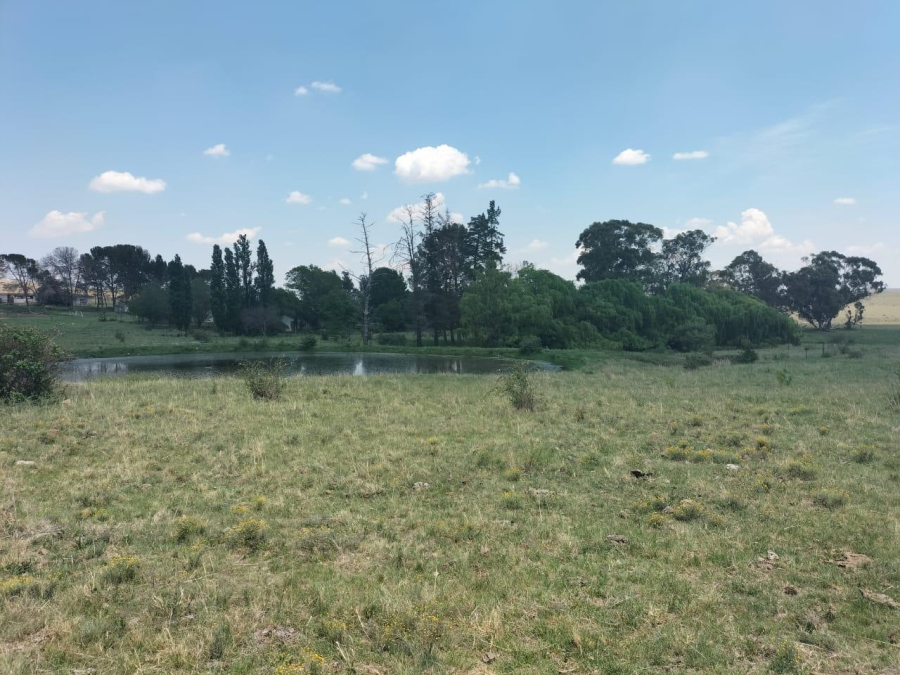 0 Bedroom Property for Sale in Bethlehem Rural Free State